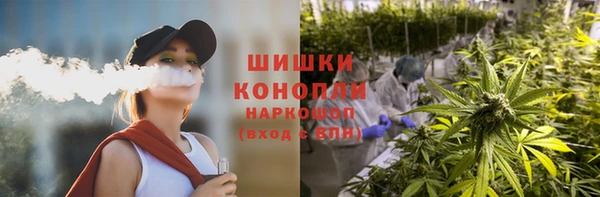 гашик Липки