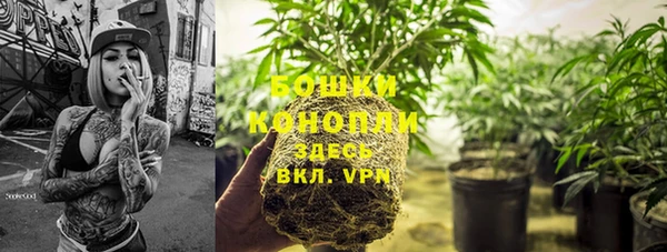 гашик Липки