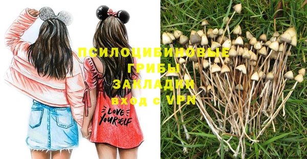 гашик Липки